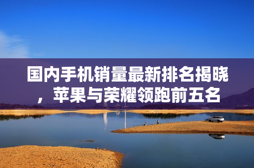 国内手机销量最新排名揭晓，苹果与荣耀领跑前五名