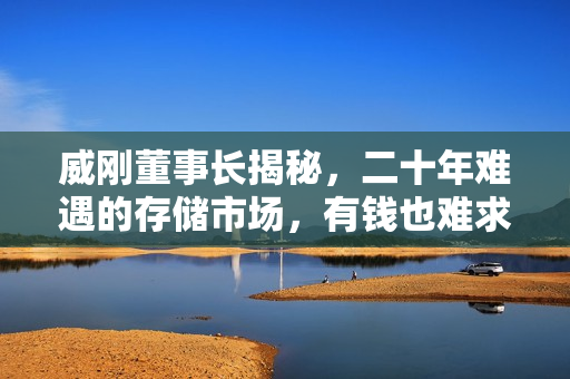 威刚董事长揭秘，二十年难遇的存储市场，有钱也难求货！
