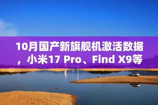 10月国产新旗舰机激活数据，小米17 Pro、Find X9等热门机型位列前三