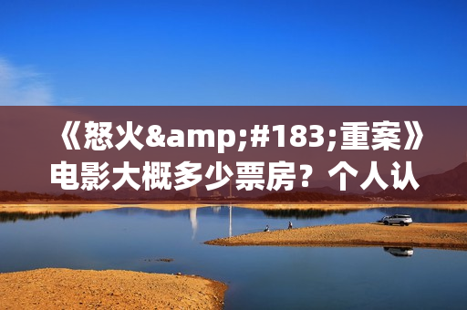 《怒火·重案》电影大概多少票房？个人认购有哪些风险？(怒火·重案主演)