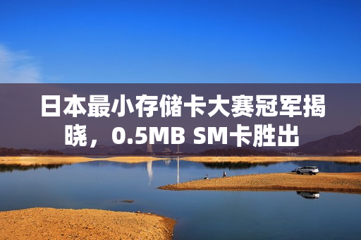 日本最小存储卡大赛冠军揭晓，0.5MB SM卡胜出