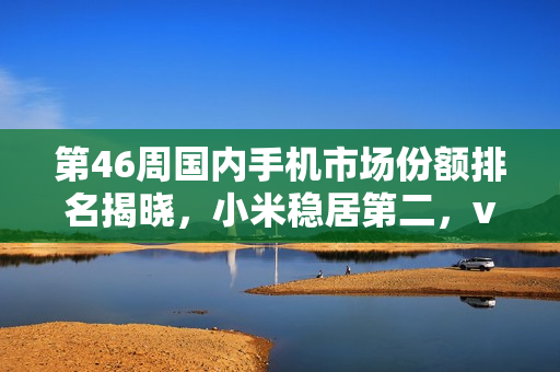 第46周国内手机市场份额排名揭晓，小米稳居第二，vivo位列第三