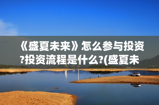 《盛夏未来》怎么参与投资?投资流程是什么?(盛夏未来ts)