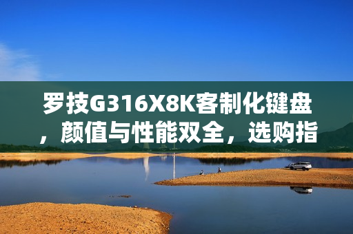罗技G316X8K客制化键盘,颜值与性能双全,选购指南! 罗技G316X8K客制化键盘,颜值与性能双全,选购指南!