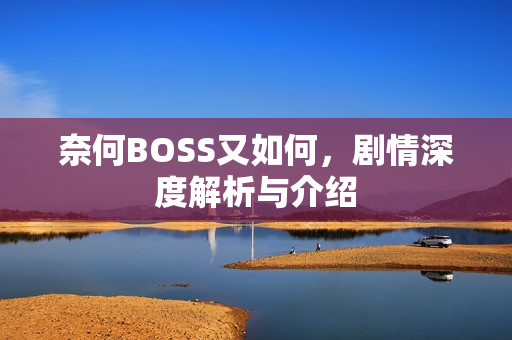 奈何BOSS又如何，剧情深度解析与介绍
