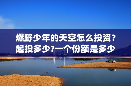 燃野少年的天空怎么投资？起投多少?一个份额是多少?(燃野少年的天空百度百科)