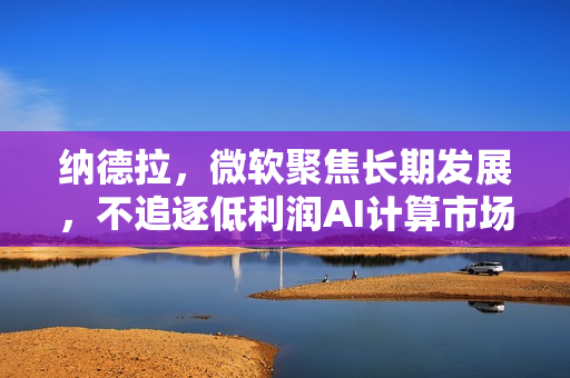 纳德拉，微软聚焦长期发展，不追逐低利润AI计算市场