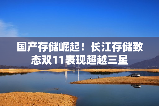 国产存储崛起！长江存储致态双11表现超越三星