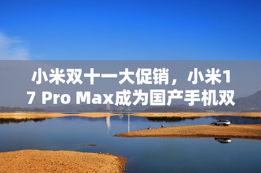 小米双十一大促销，小米17 Pro Max成为国产手机双冠王
