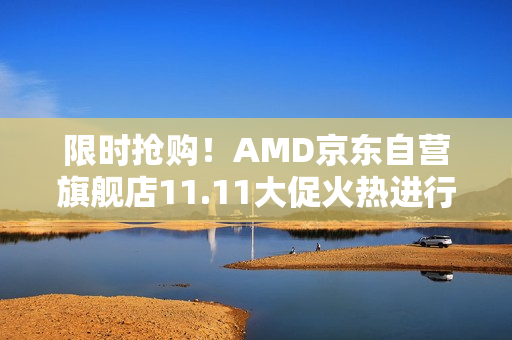 限时抢购！AMD京东自营旗舰店11.11大促火热进行中，今日特惠福利不容错过