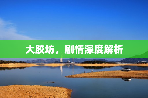 大胶坊，剧情深度解析