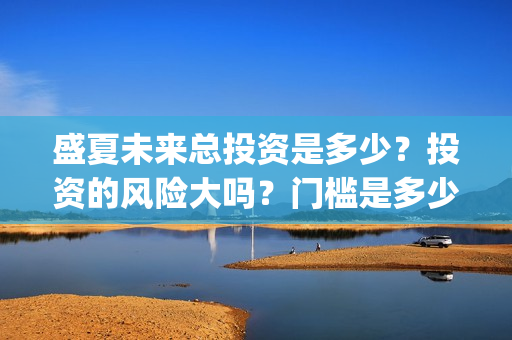 盛夏未来总投资是多少？投资的风险大吗？门槛是多少？(盛夏未来 投资方)