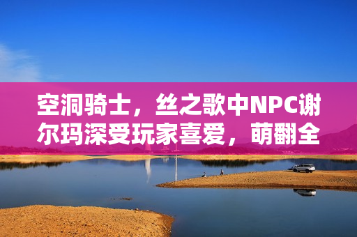 空洞骑士，丝之歌中NPC谢尔玛深受玩家喜爱，萌翻全场！