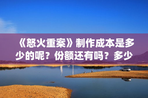 《怒火重案》制作成本是多少的呢？份额还有吗？多少起投呢？(怒火重案口碑炸裂)