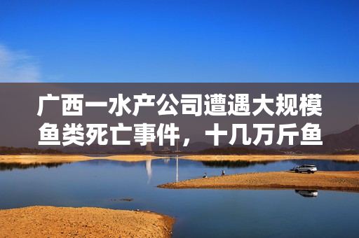 广西一水产公司遭遇大规模鱼类死亡事件,十几万斤鱼死亡,鱼塘一片惨景 广西一水产公司遭遇大规模鱼类死亡事件,十几万斤鱼死亡,鱼塘一片惨景