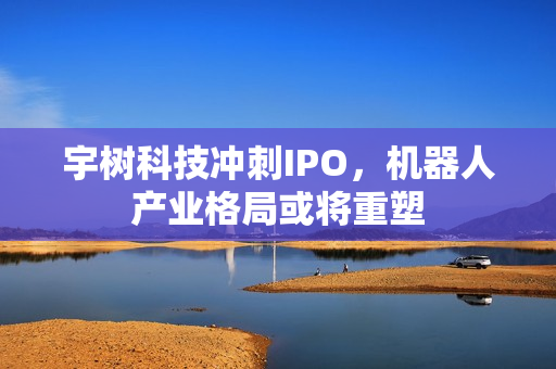 宇树科技冲刺IPO，机器人产业格局或将重塑