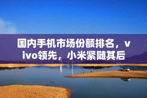 国内手机市场份额排名，vivo领先，小米紧随其后