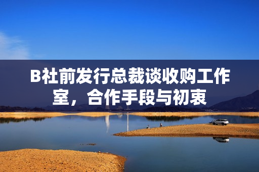 B社前发行总裁谈收购工作室，合作手段与初衷