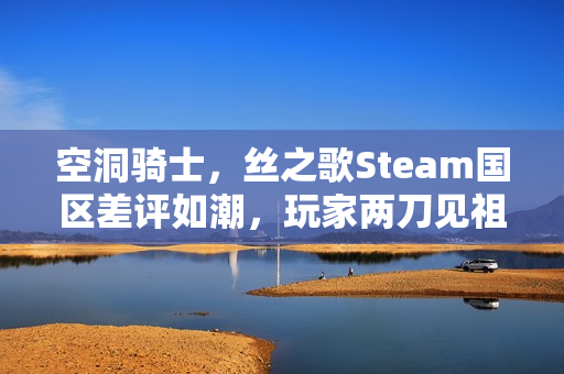 空洞骑士，丝之歌Steam国区差评如潮，玩家两刀见祖宗！