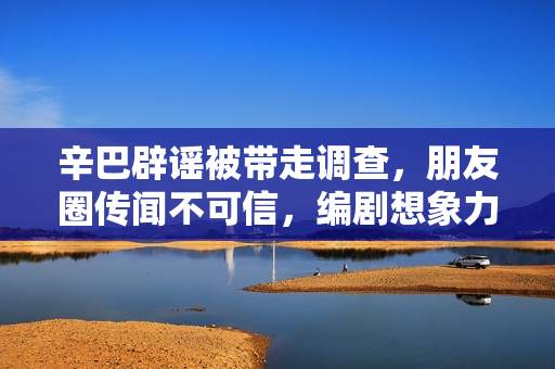 辛巴辟谣被带走调查，朋友圈传闻不可信，编剧想象力获赞