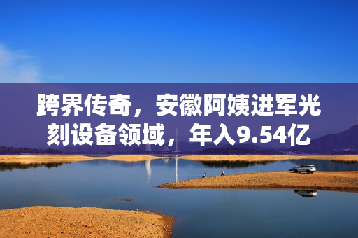 跨界传奇，安徽阿姨进军光刻设备领域，年入9.54亿