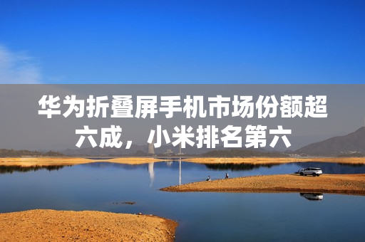 华为折叠屏手机市场份额超六成，小米排名第六