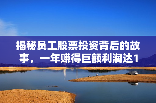 揭秘员工股票投资背后的故事，一年赚得巨额利润达1.3亿元！