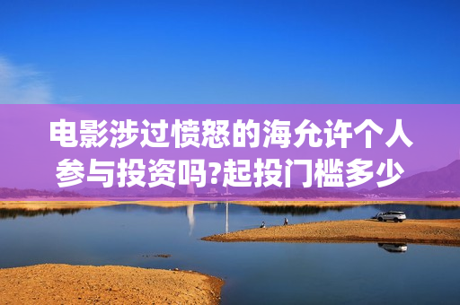 电影涉过愤怒的海允许个人参与投资吗?起投门槛多少?(电影涉过愤怒的海解析)