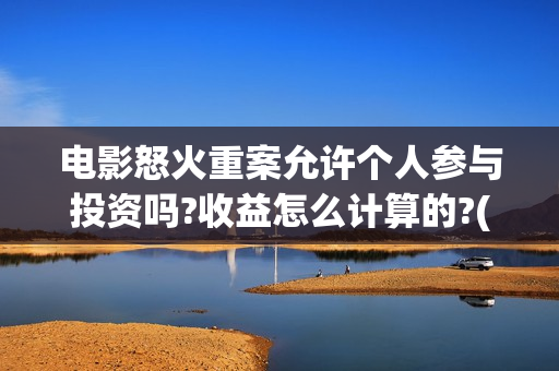 电影怒火重案允许个人参与投资吗?收益怎么计算的?(《怒火 重案》)