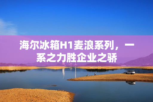 海尔冰箱H1麦浪系列，一系之力胜企业之骄