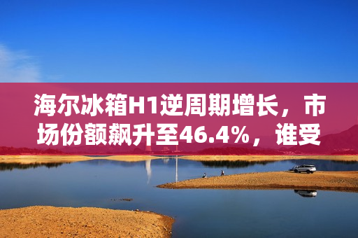 海尔冰箱H1逆周期增长，市场份额飙升至46.4%，谁受到了冲击？
