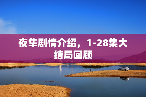 夜隼剧情介绍，1-28集大结局回顾