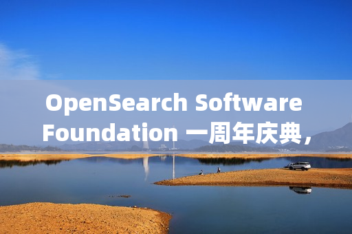 OpenSearch Software Foundation 一周年庆典，回顾与未来展望