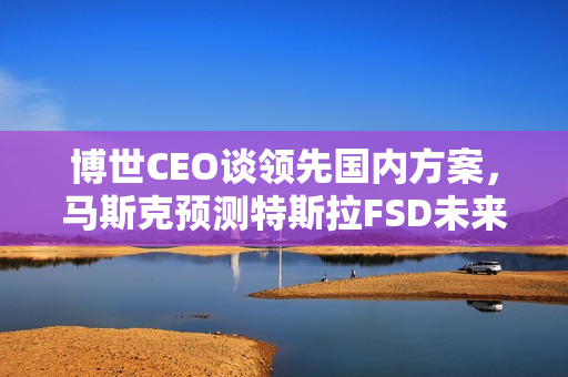博世CEO谈领先国内方案，马斯克预测特斯拉FSD未来超越人类十倍