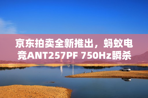 京东拍卖全新推出,蚂蚁电竞ANT257PF 750Hz瞬杀屏重新定义电竞显示器极限 京东拍卖全新推出,蚂蚁电竞ANT257PF 750Hz瞬杀屏重新定义电竞显示器极限