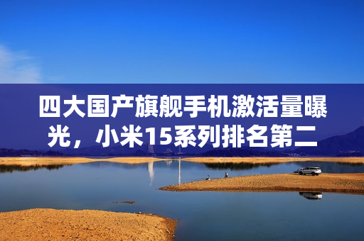 四大国产旗舰手机激活量曝光，小米15系列排名第二