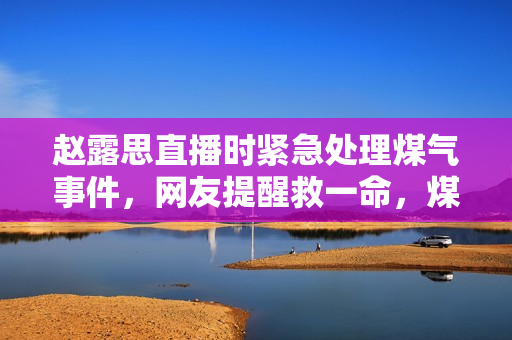赵露思直播时紧急处理煤气事件，网友提醒救一命，煤气已关感谢有你