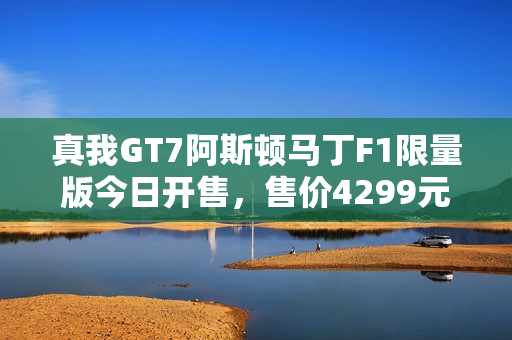 真我GT7阿斯顿马丁F1限量版今日开售，售价4299元起