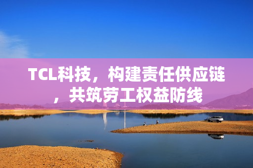 TCL科技,构建责任供应链,共筑劳工权益防线 TCL科技,构建责任供应链,共筑劳工权益防线