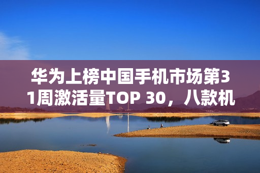 华为上榜中国手机市场第31周激活量TOP 30,八款机型闪耀榜单 华为上榜中国手机市场第31周激活量TOP 30,八款机型闪耀榜单