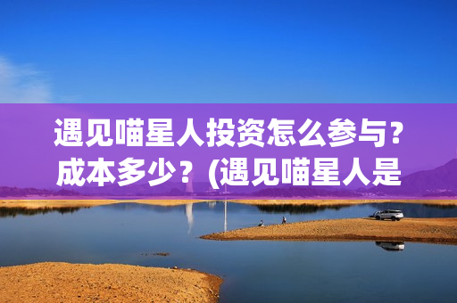 遇见喵星人投资怎么参与？成本多少？(遇见喵星人是哪家公司)