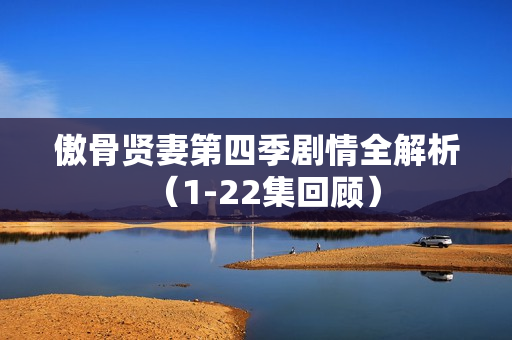 傲骨贤妻第四季剧情全解析（1-22集回顾）