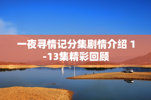 一夜寻情记分集剧情介绍 1-13集精彩回顾