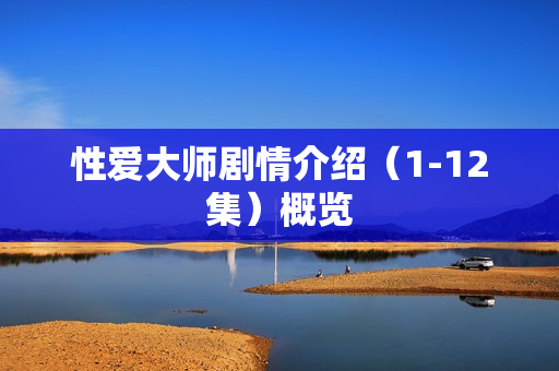 性爱大师剧情介绍（1-12集）概览