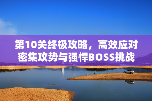 第10关终极攻略,高效应对密集攻势与强悍BOSS挑战 第10关终极攻略,高效应对密集攻势与强悍BOSS挑战
