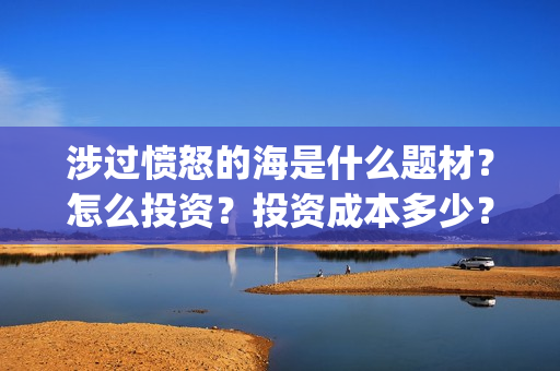 涉过愤怒的海是什么题材？怎么投资？投资成本多少？散户怎么参与投资(涉过愤怒的海是文艺片吗)