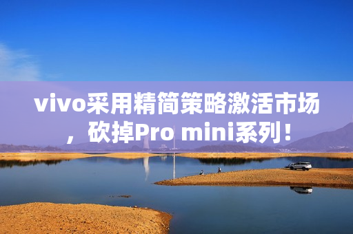 vivo采用精简策略激活市场，砍掉Pro mini系列！