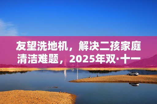 友望洗地机，解决二孩家庭清洁难题，2025年双·十一首选洗地机