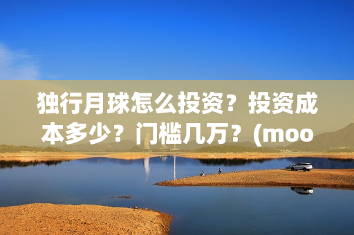 独行月球怎么投资？投资成本多少？门槛几万？(moonyou-独行月球)
