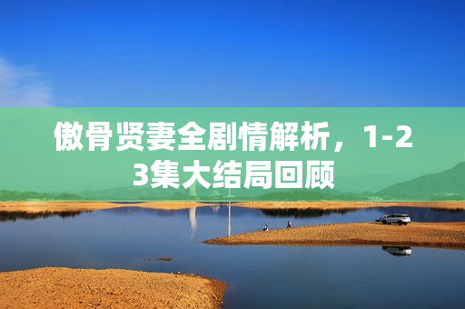 傲骨贤妻全剧情解析，1-23集大结局回顾